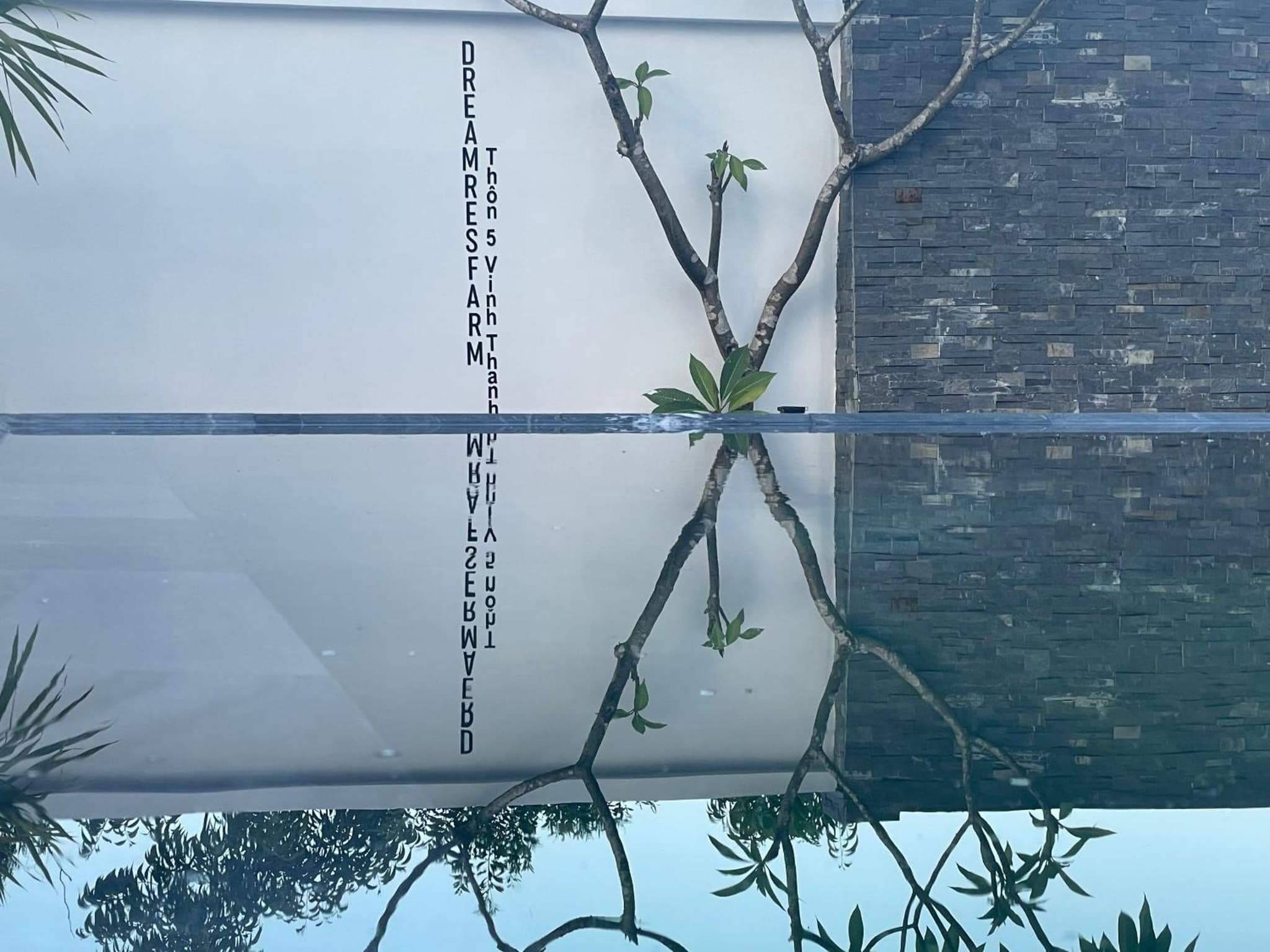 Dreamers Farm