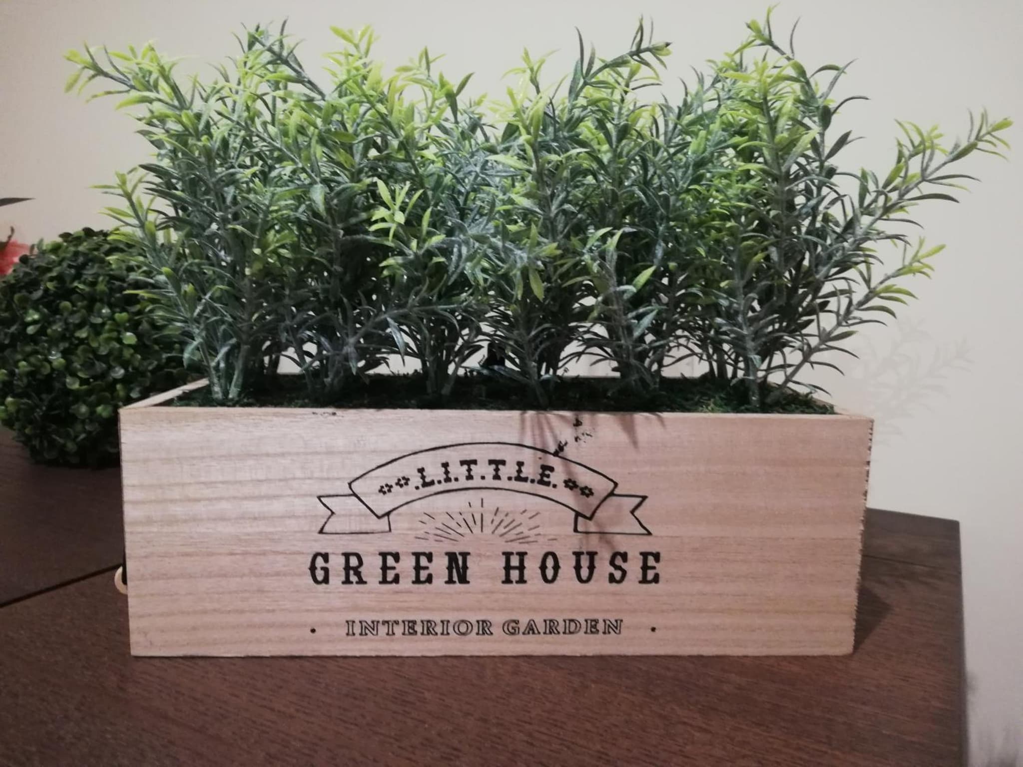 Green House photo 9
