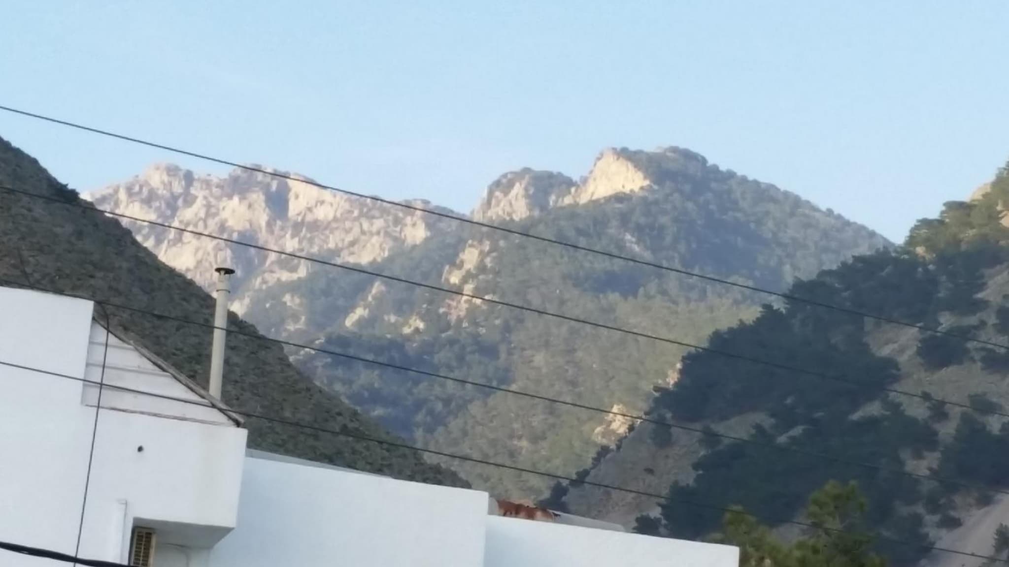 Tarra photo 3
