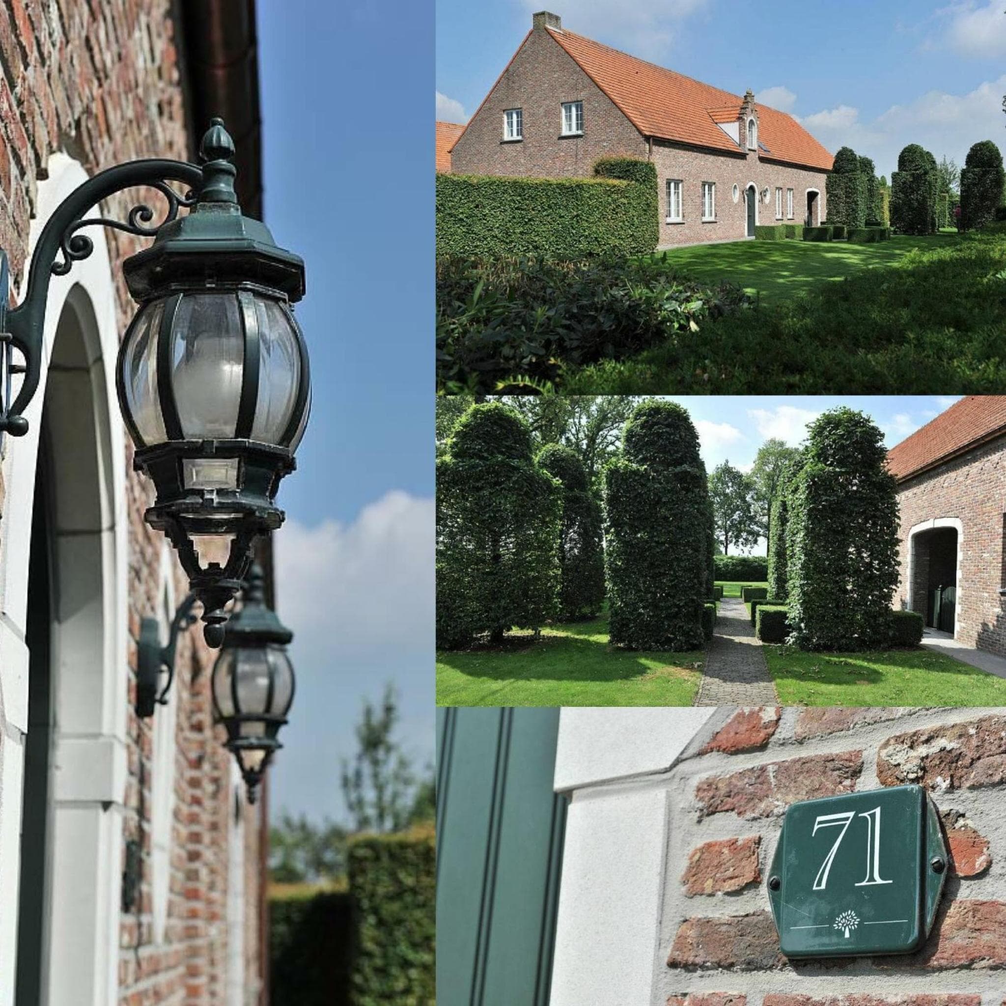 Villa71 photo 5
