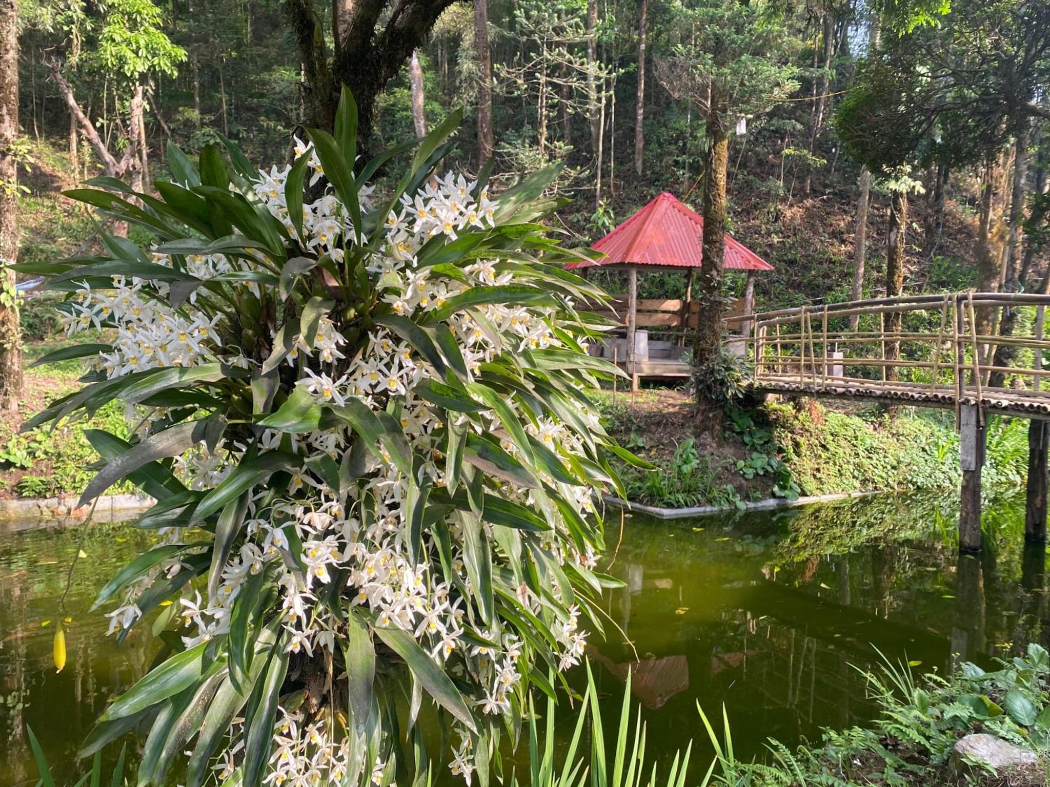 Bloomfield Farmhouse and Eco-Resort photo 9