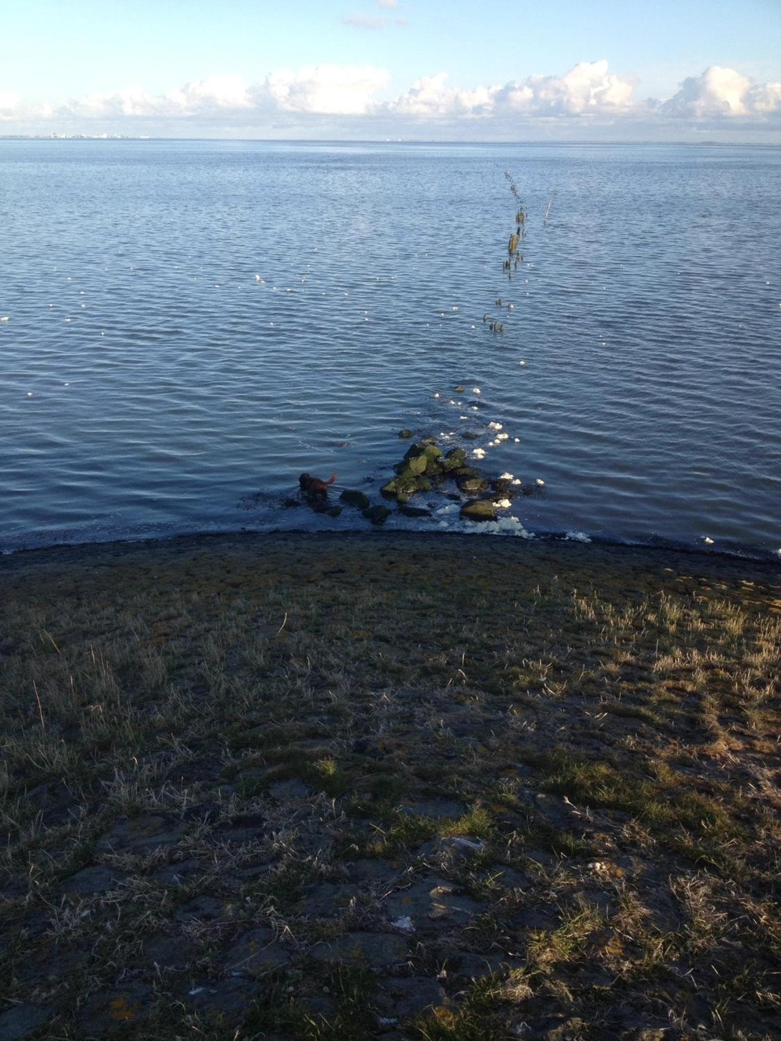 Het Huis van de Wadden photo 3