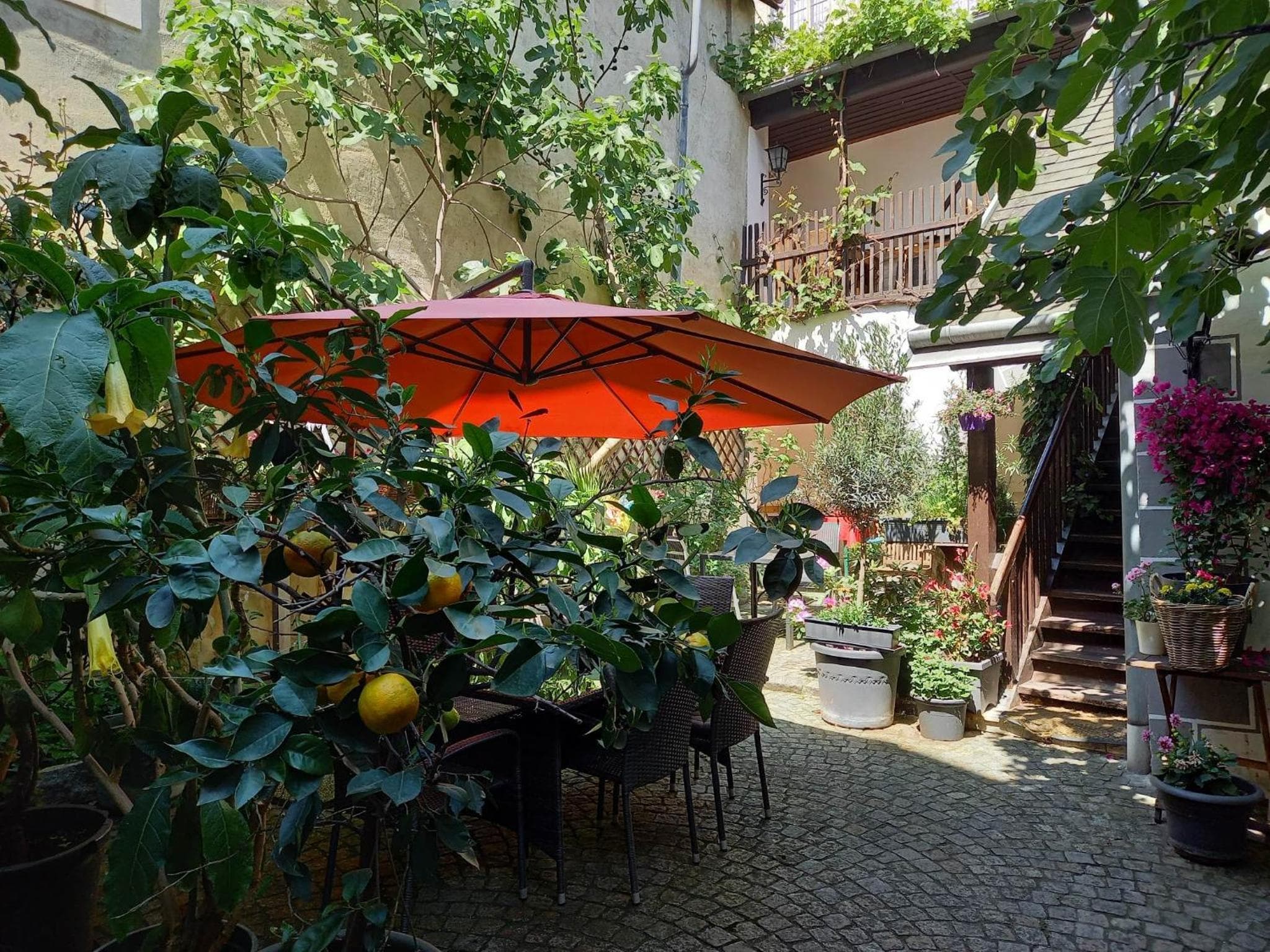 Gästehaus auf der Kunstmeile photo 8