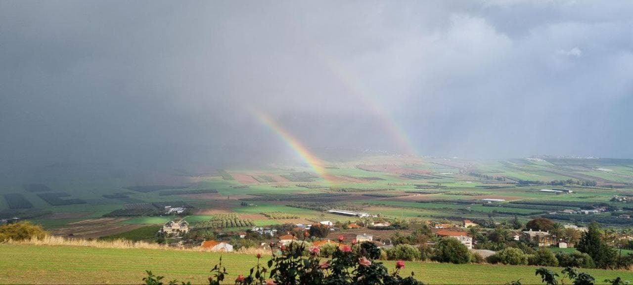 Suite Kolibri in Galilee photo 7