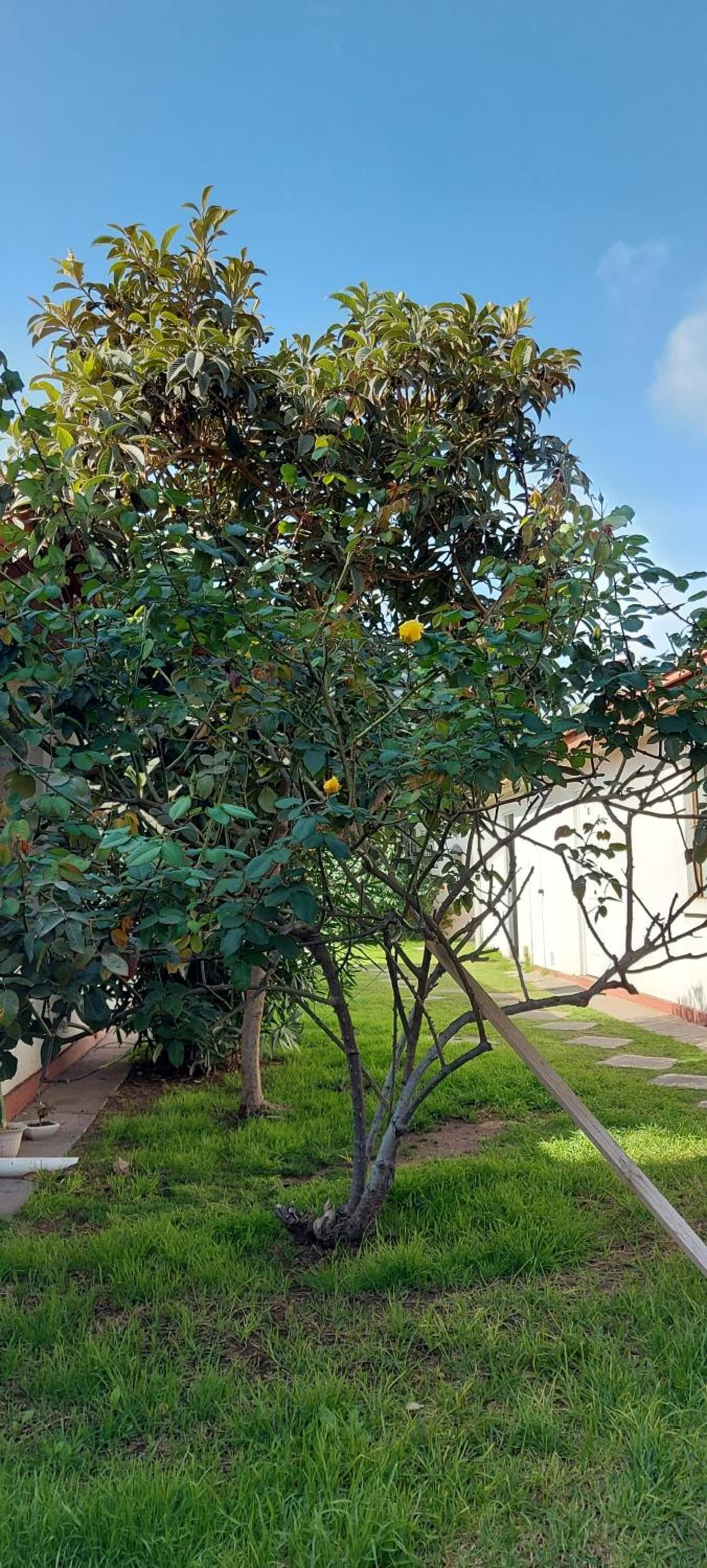 Hotel Chagual photo 9