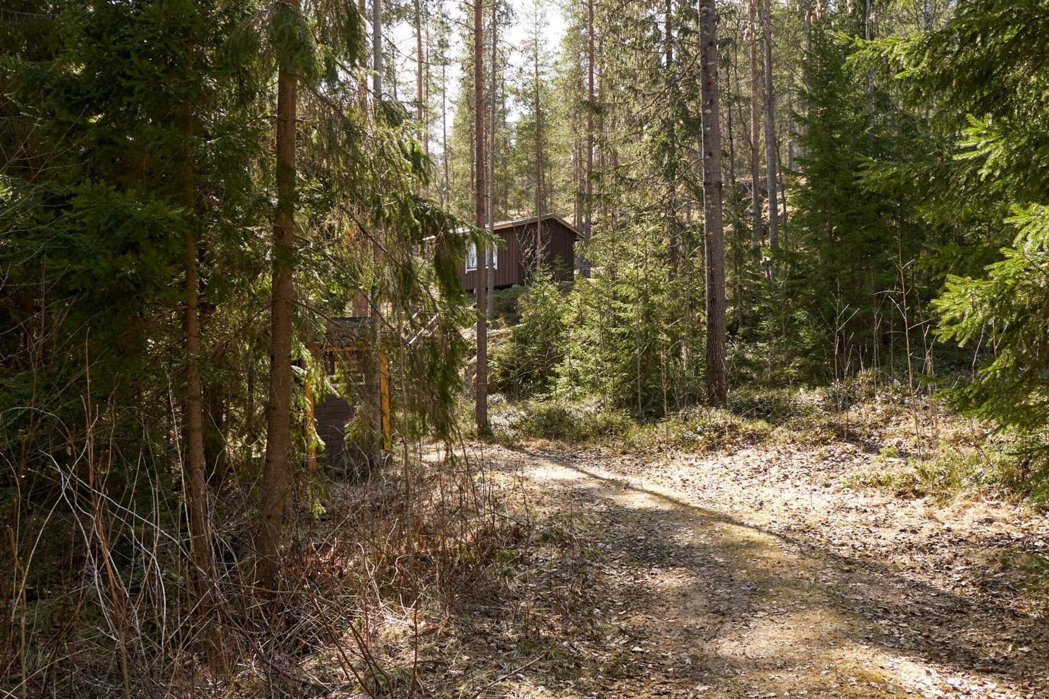 Rantasaunallinen yksiö photo 2