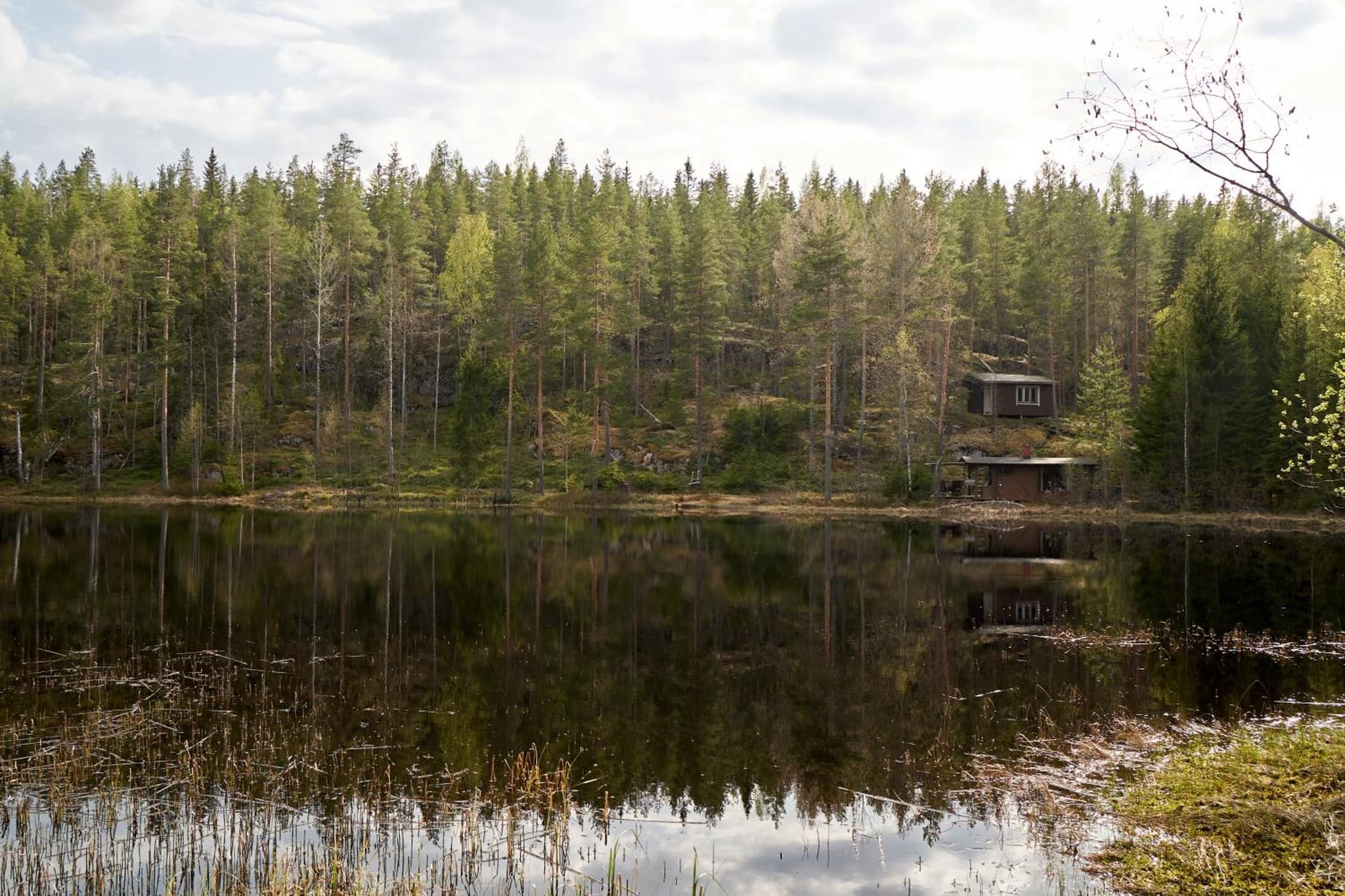 Rantasaunallinen yksiö photo 4