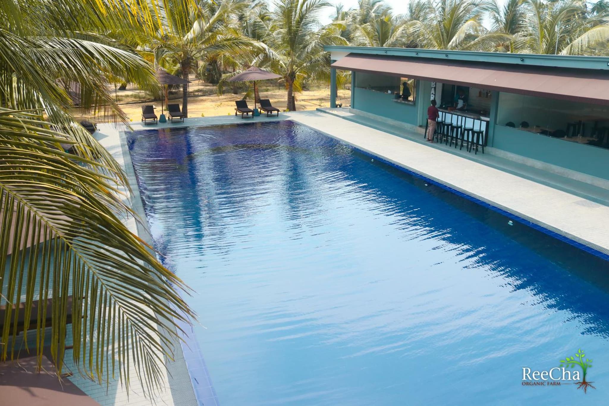 ReeCha Hotel Mullai - Near Jaffna photo 4