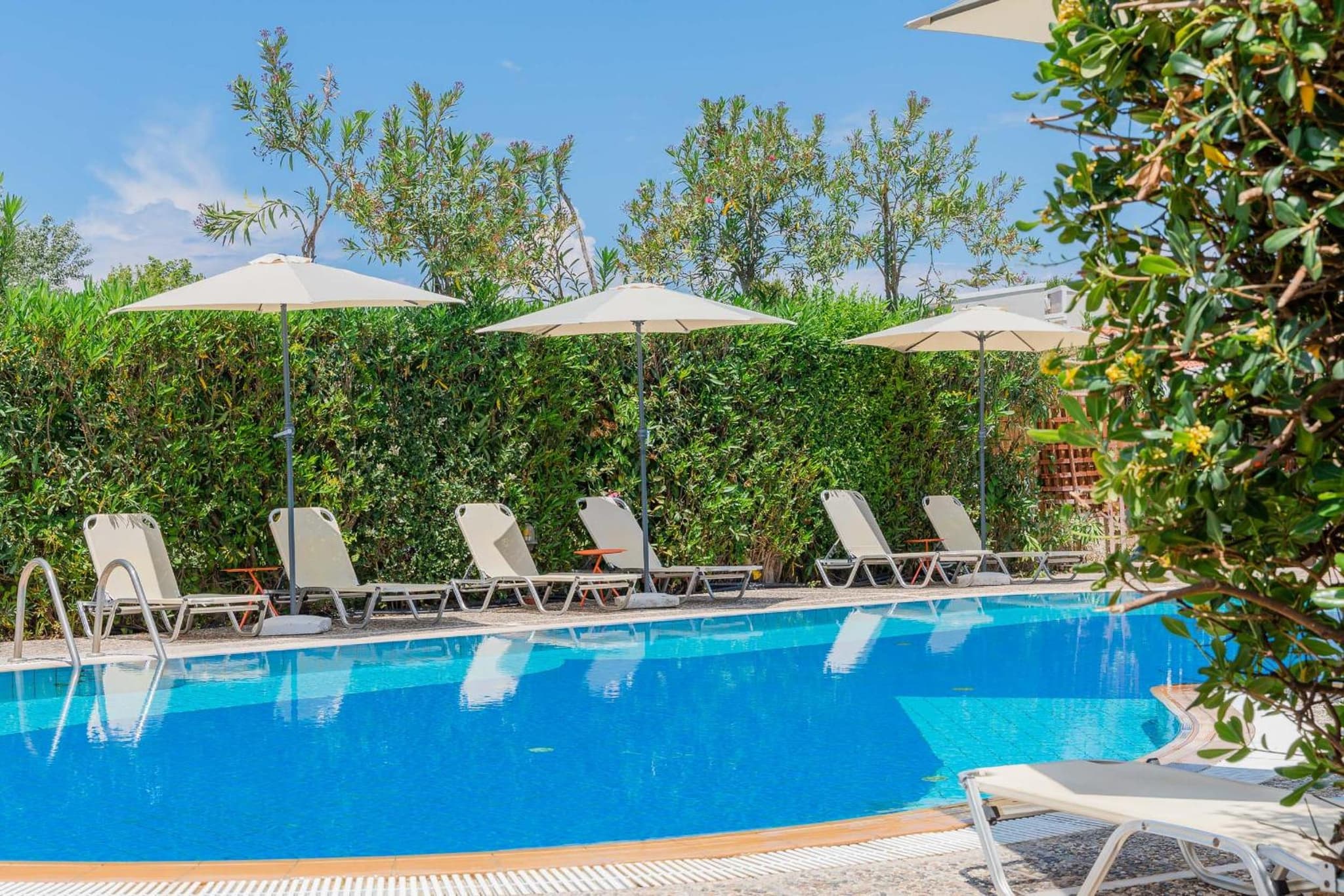 ILENA HOTEL photo 6
