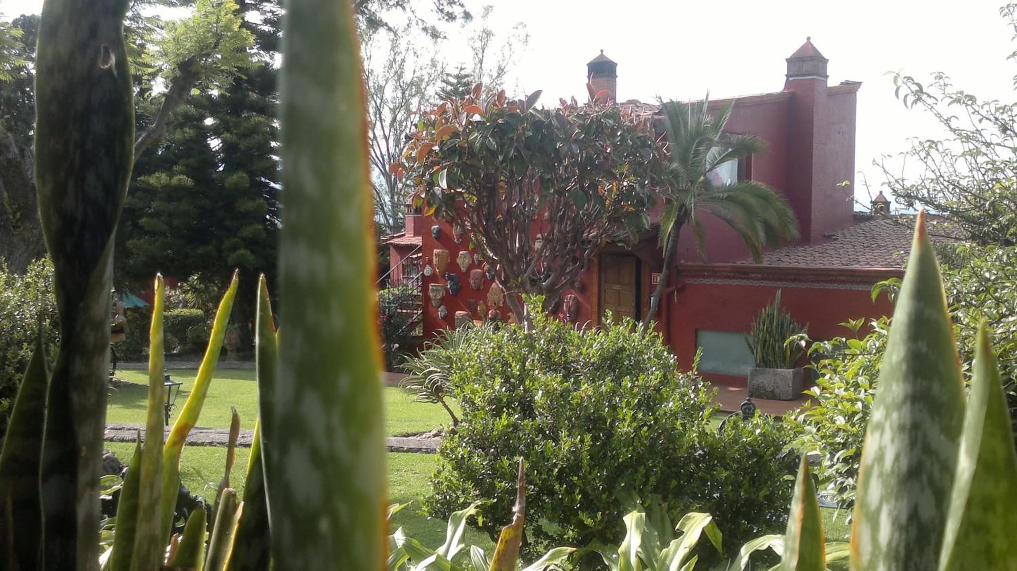 Villa San Jose Hotel & Suites photo 9