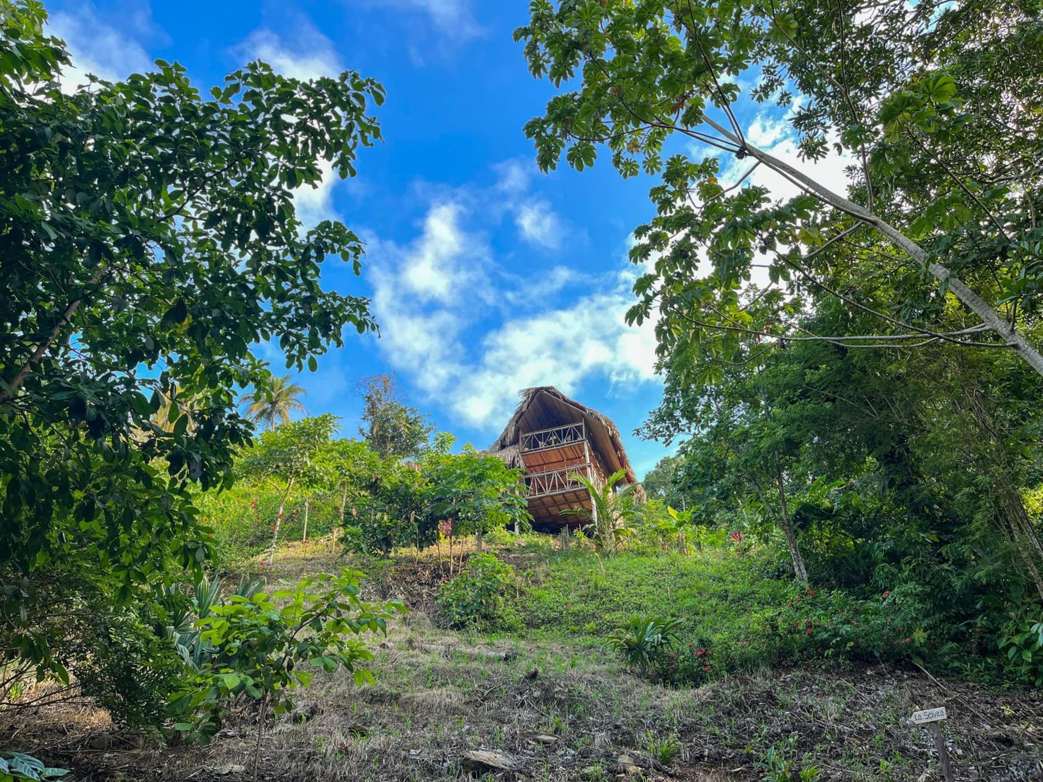 Finca La Selvita Chocolate experience photo 5