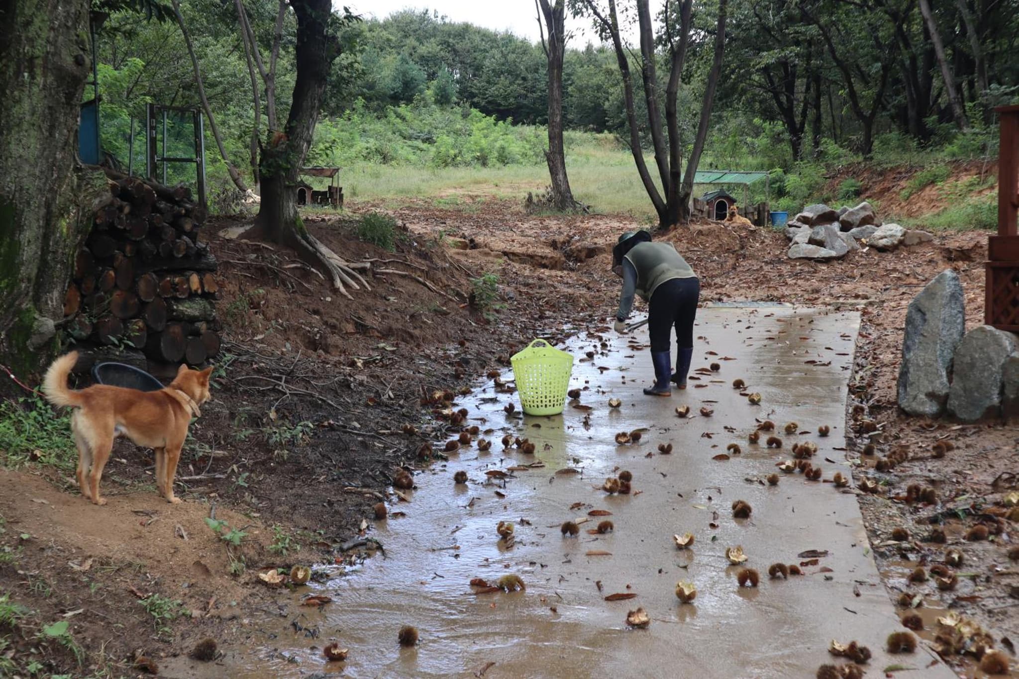 Yangyang Naksan Bamgol Land photo 7