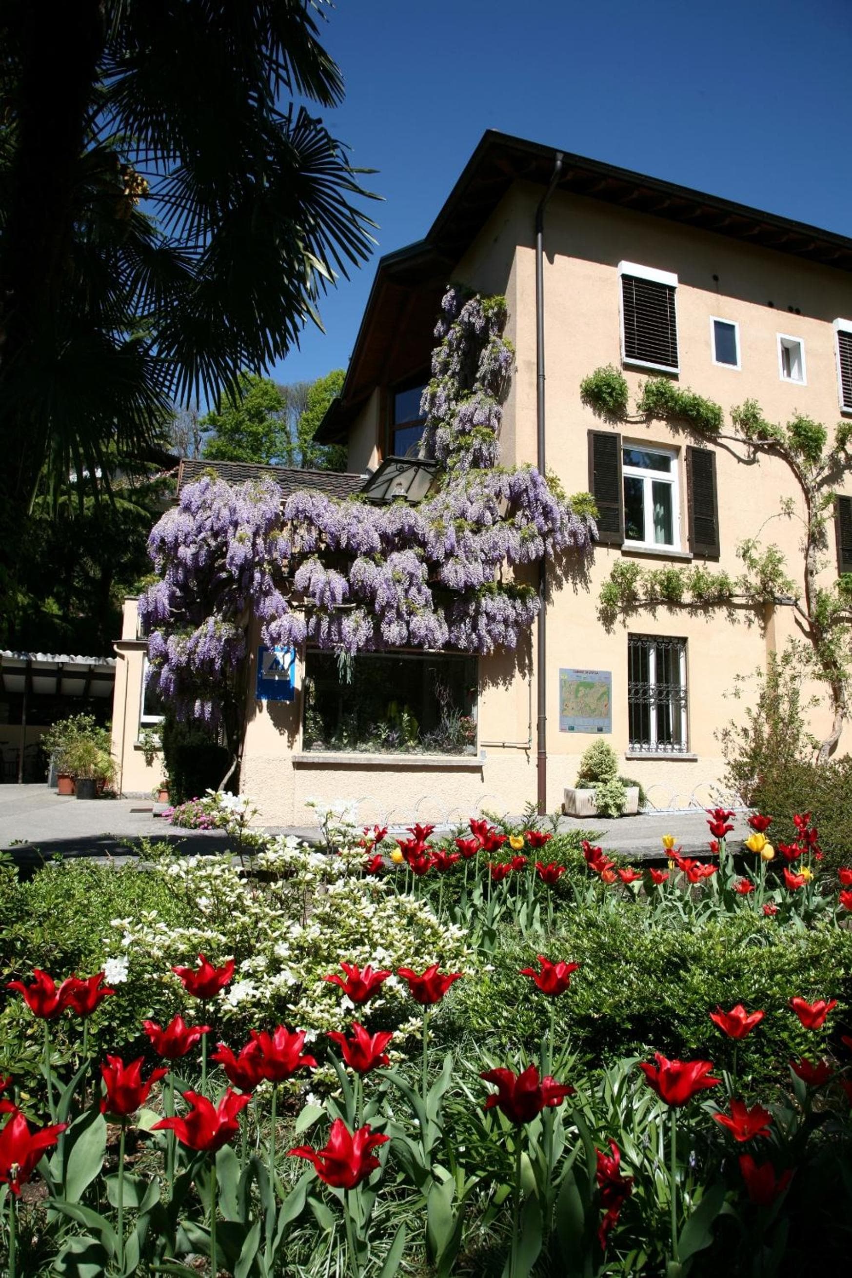 Lugano Savosa Youth Hostel photo 3