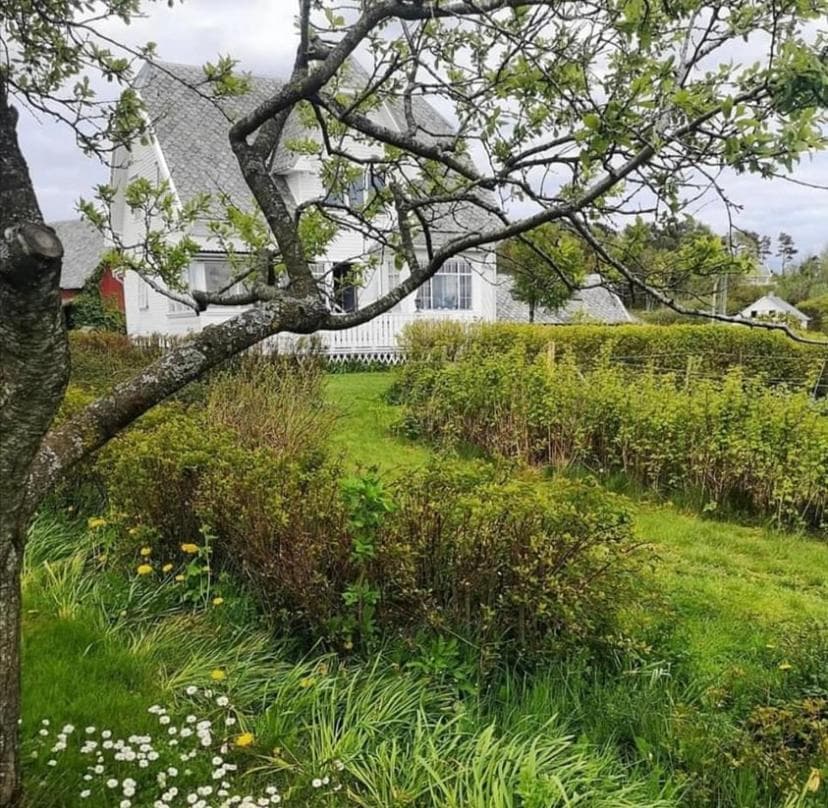 Shared Farmhouse photo 2
