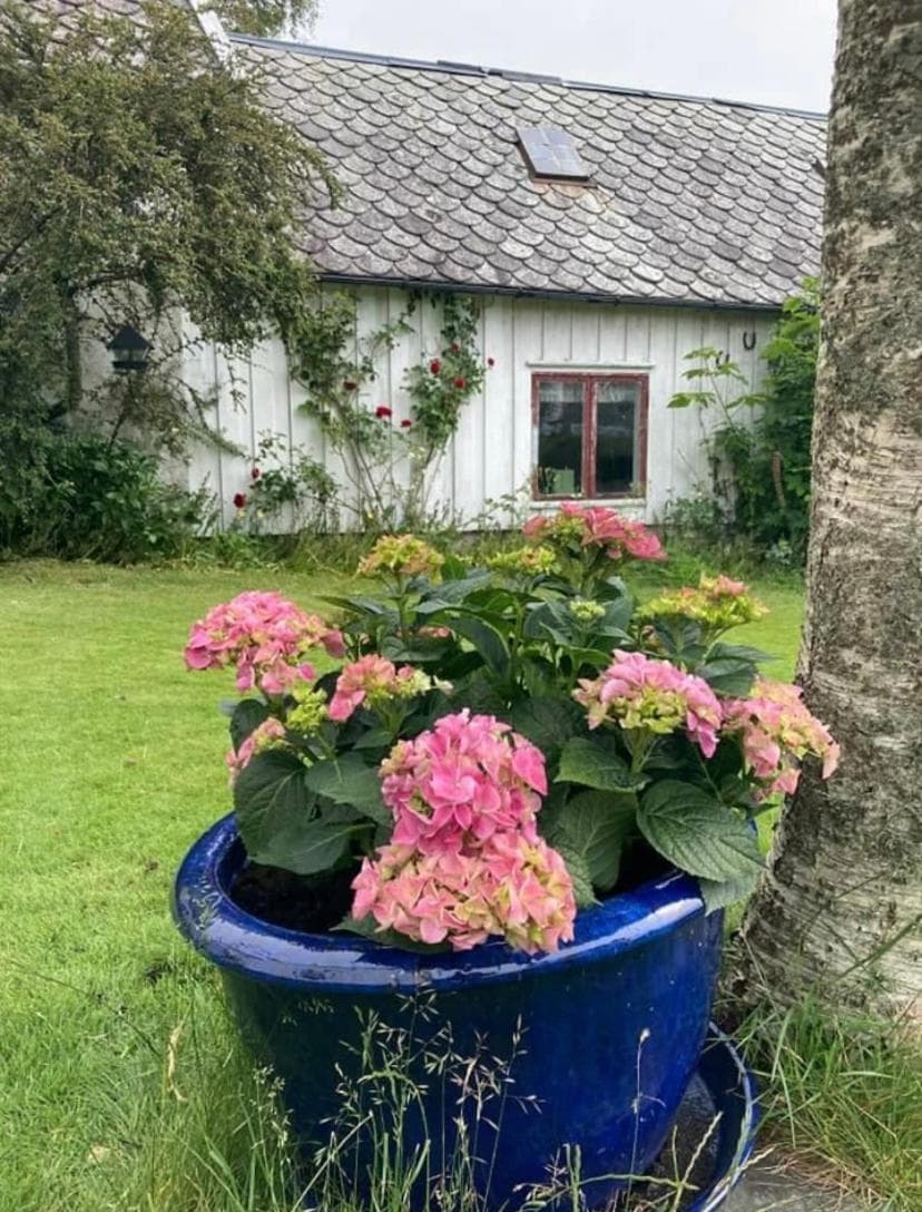Shared Farmhouse photo 4