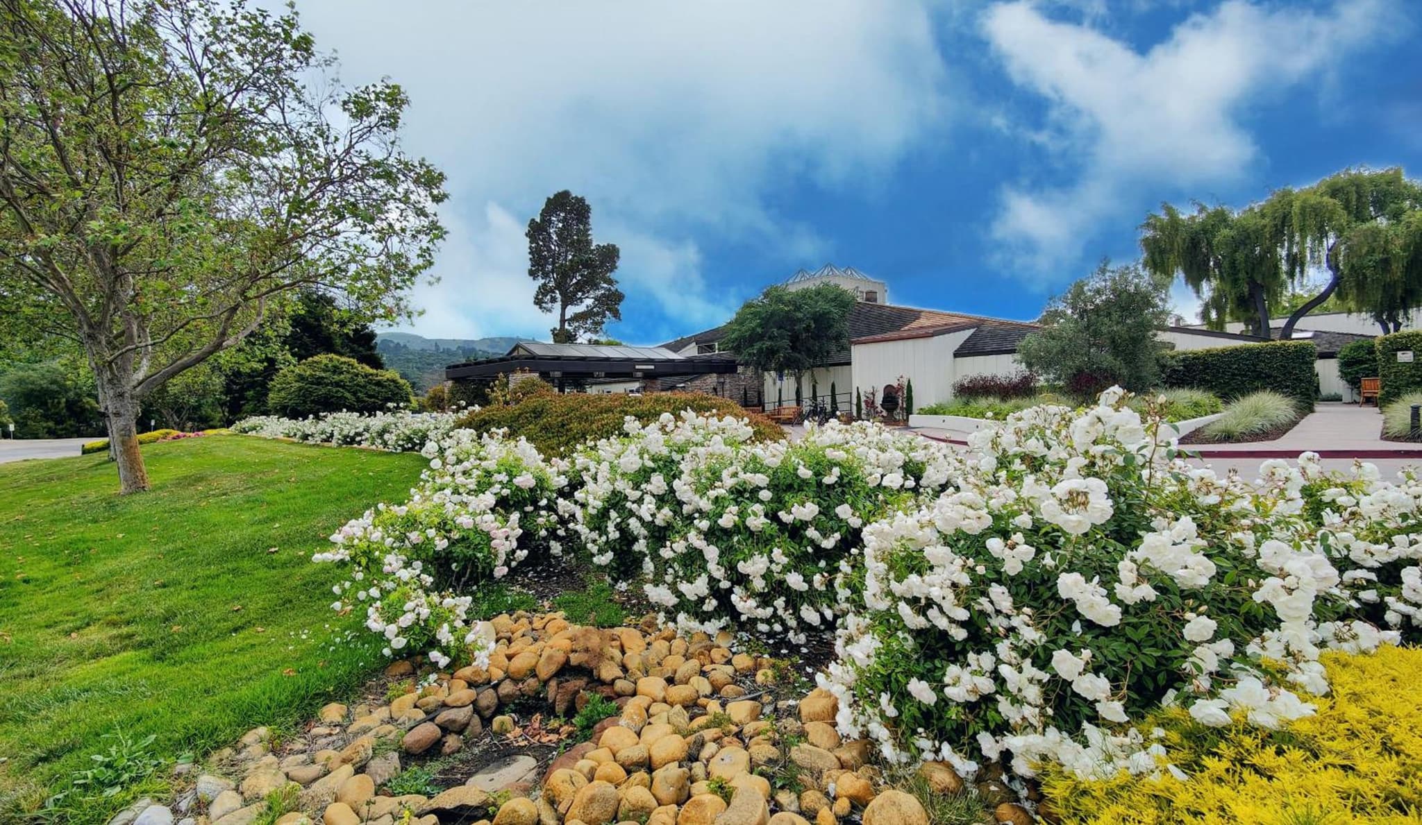 The Quail Lodge photo 7