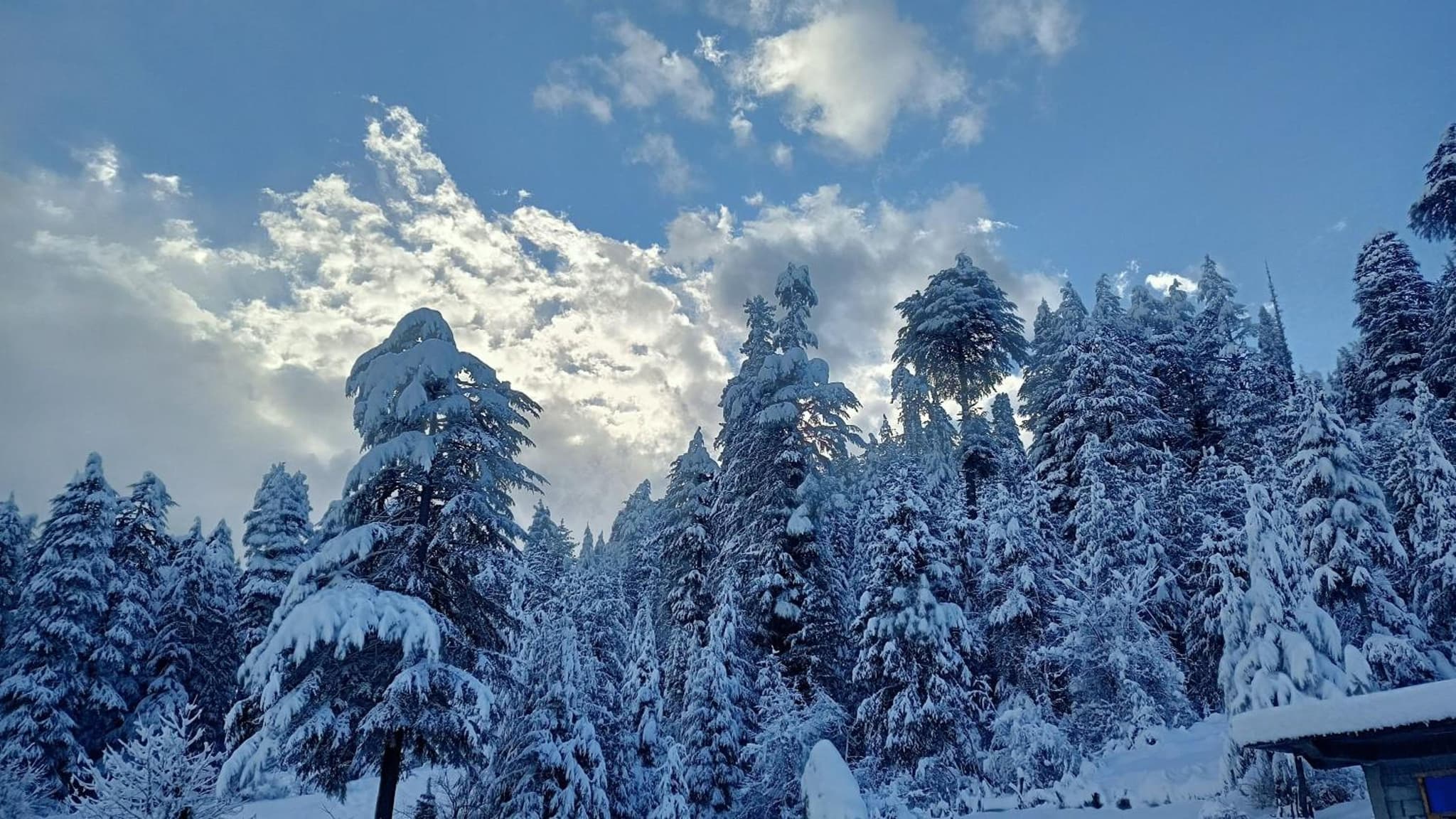 Alpine Lodge And Stays photo 2
