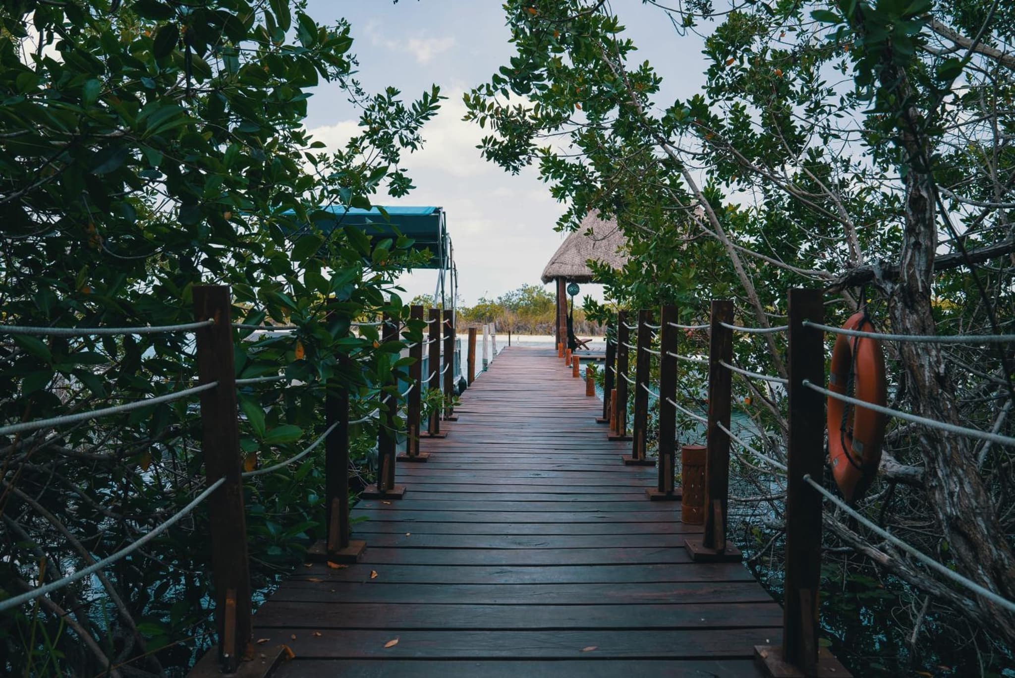 Bluebayou Bacalar photo 5
