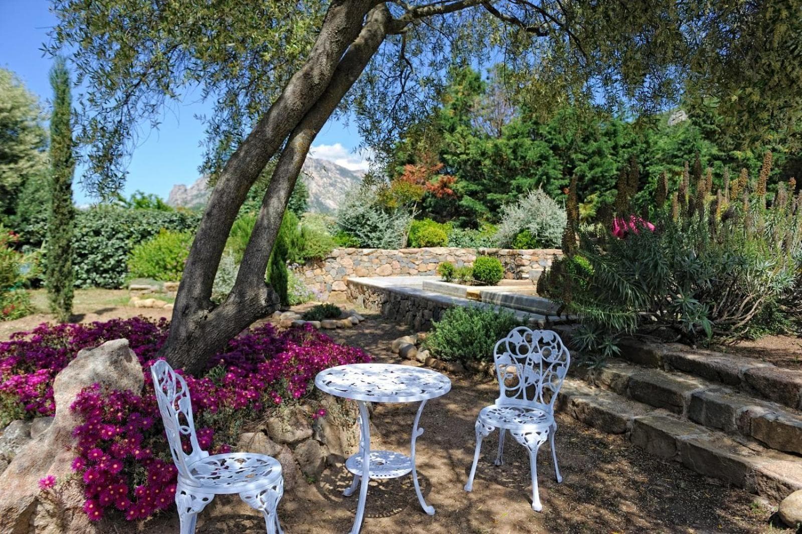 Chambre d'Hôtes Domaine Pero Longo photo 9