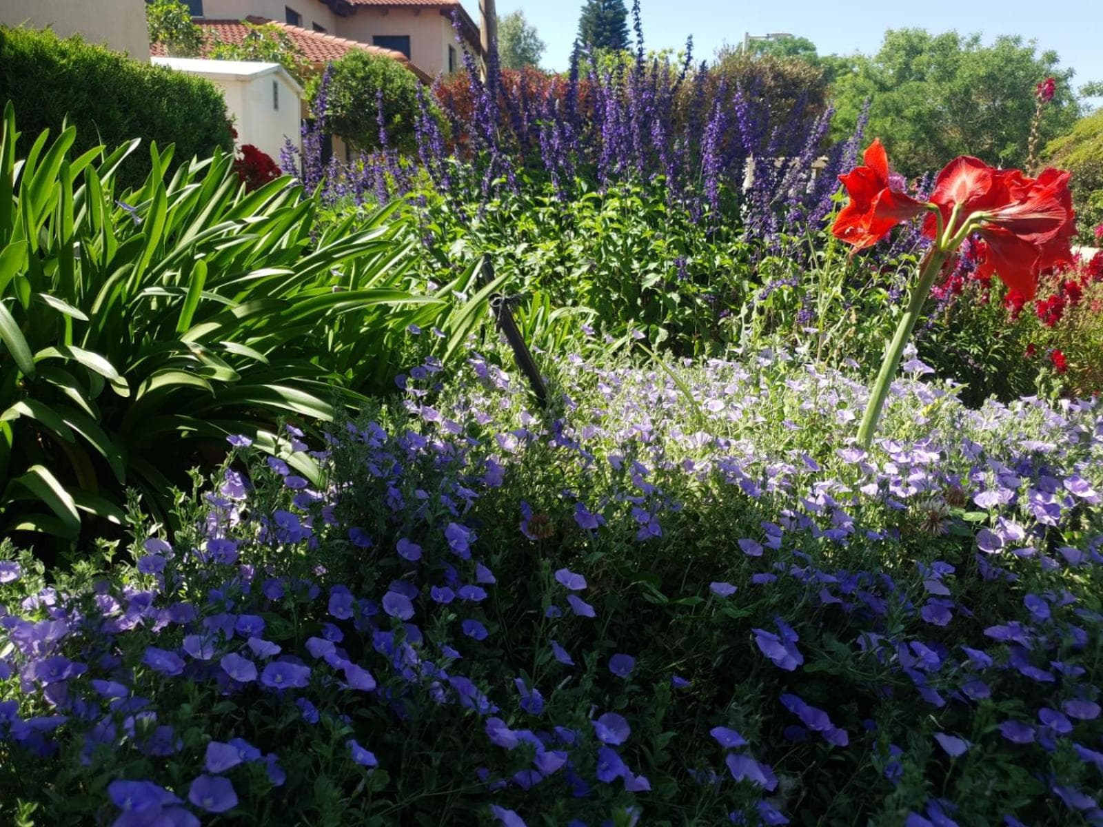 Casa Gila photo 8