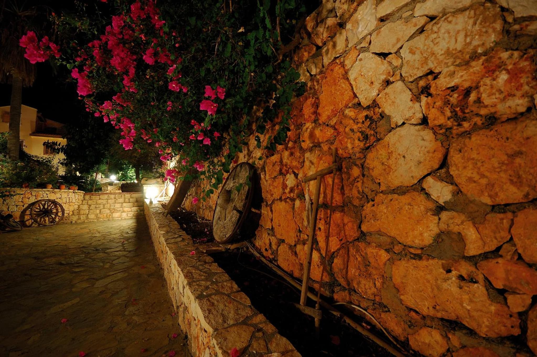 Lycia Hotel photo 6