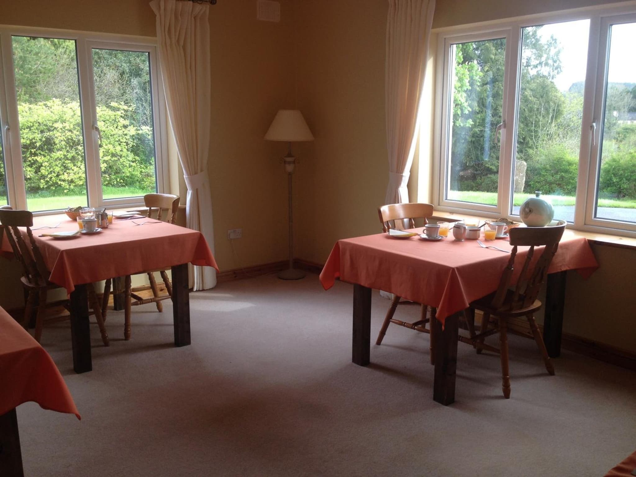 Amber B&B photo 9