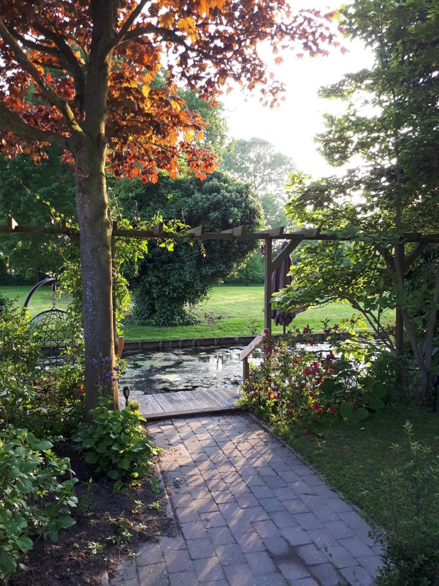 B&B Het Molensteegje photo 3