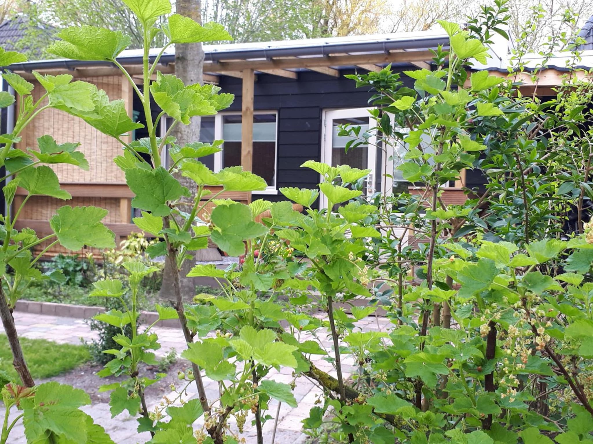 B&B Het Molensteegje photo 5