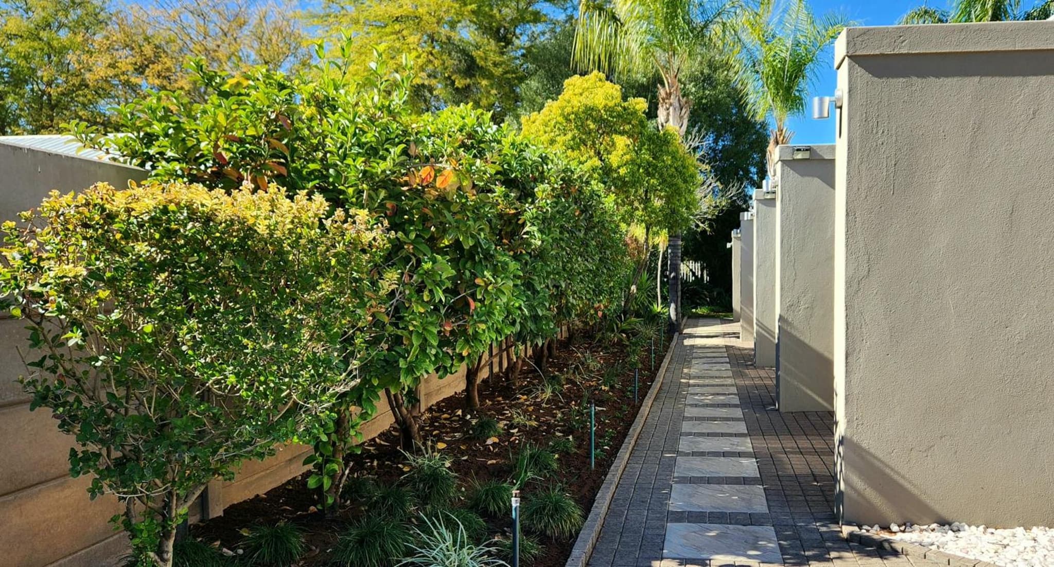 Green Kalahari Guesthouse photo 9