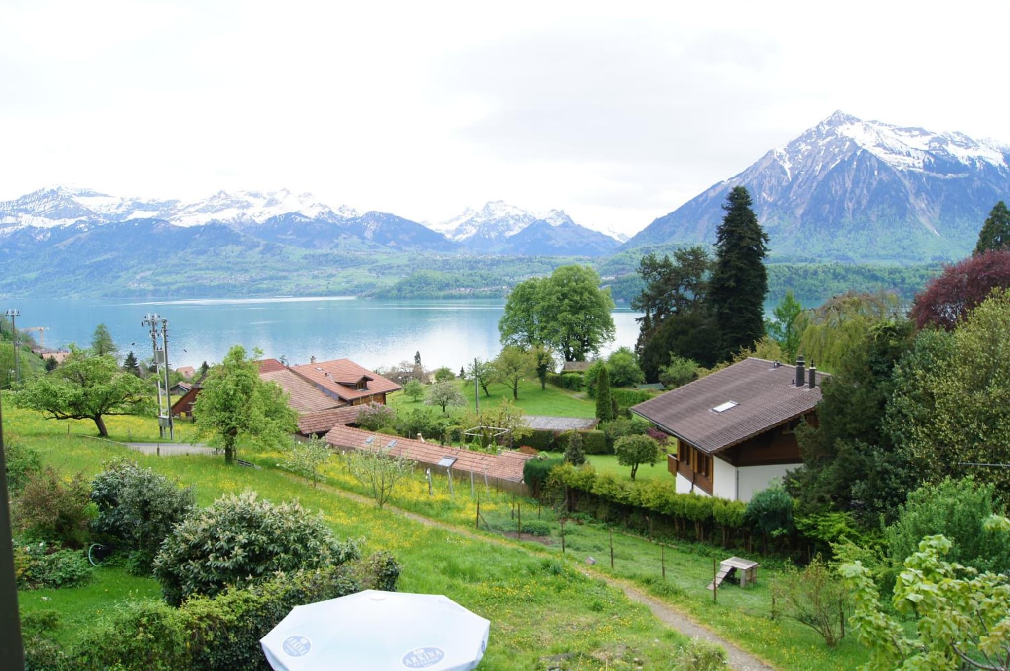B&B Schönörtli photo 7
