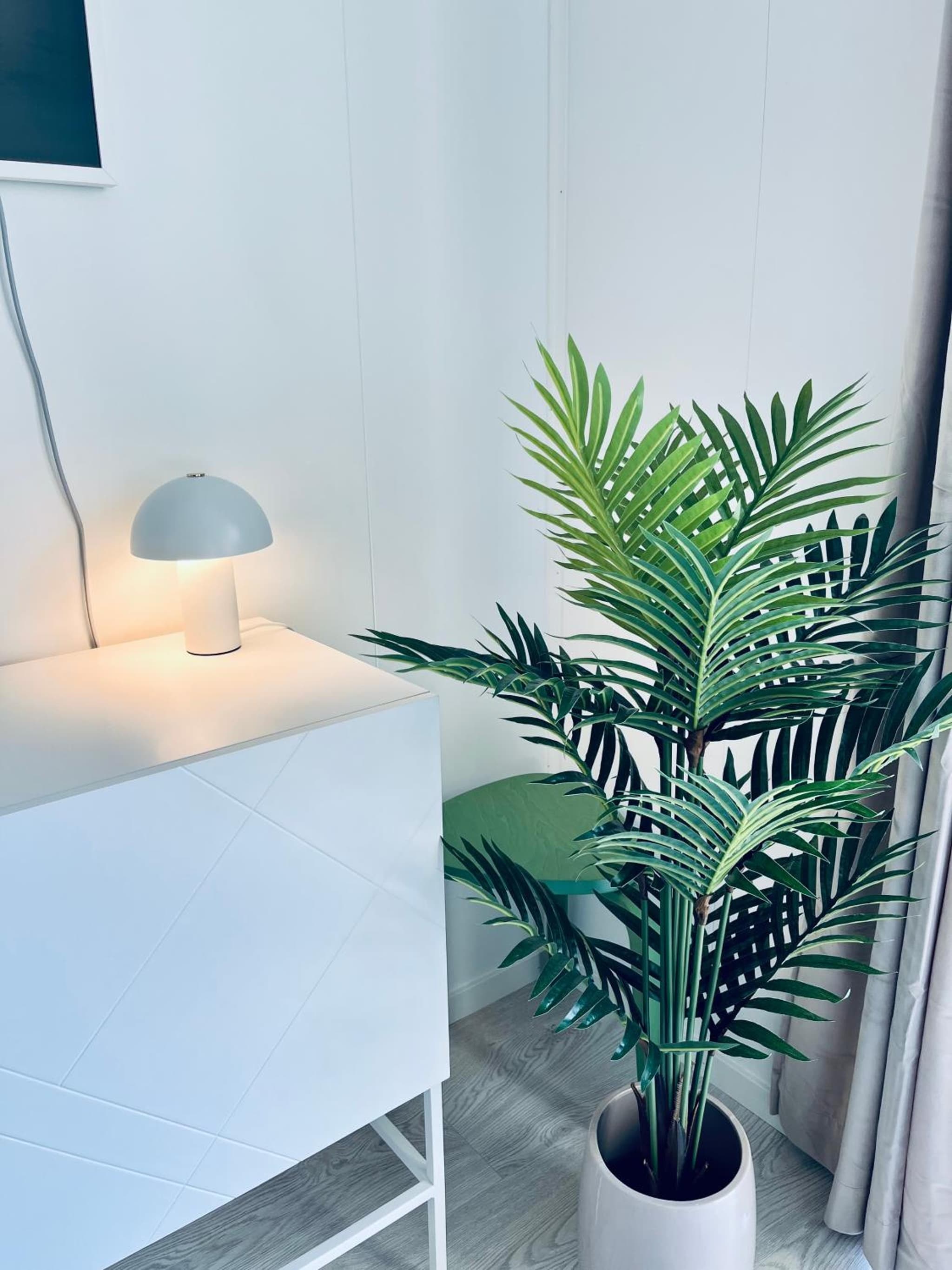 Lofoten Studio Penthouse photo 3