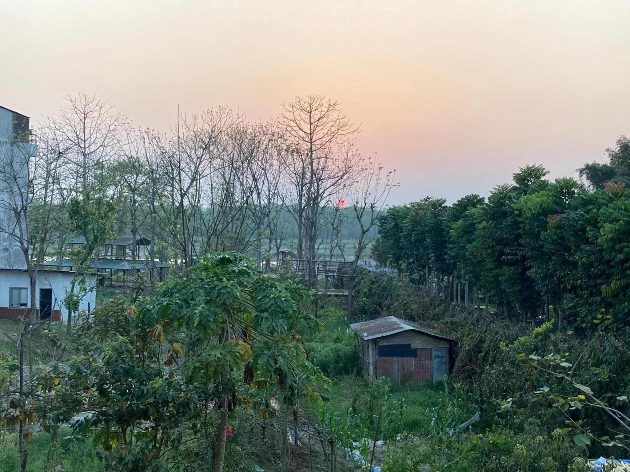 Sauraha Guest House photo 4