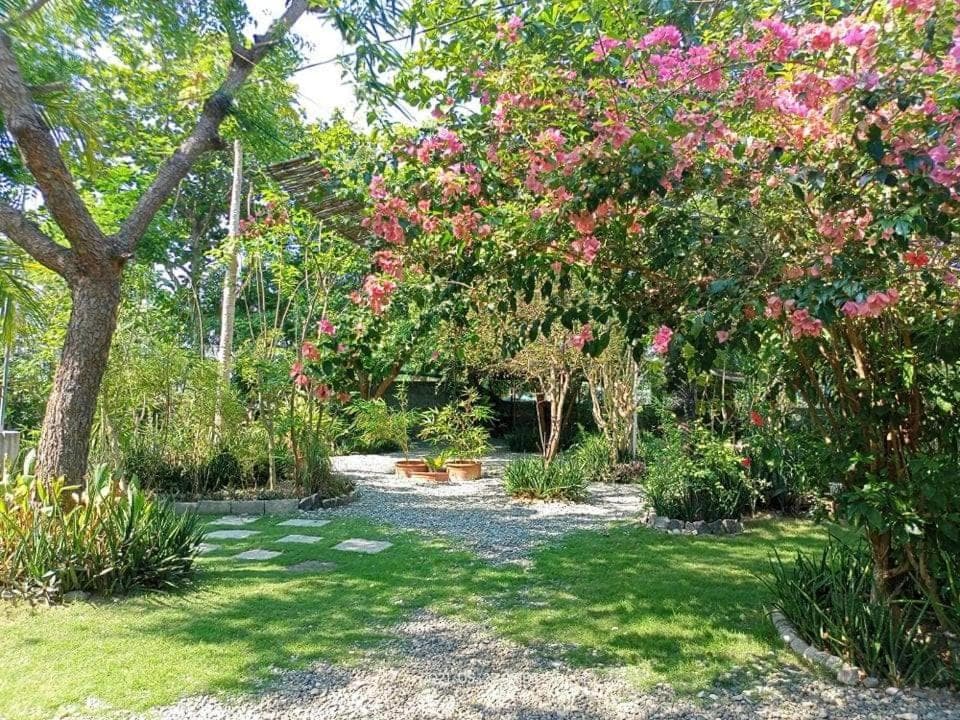 Playa de Bombora Inn photo 3