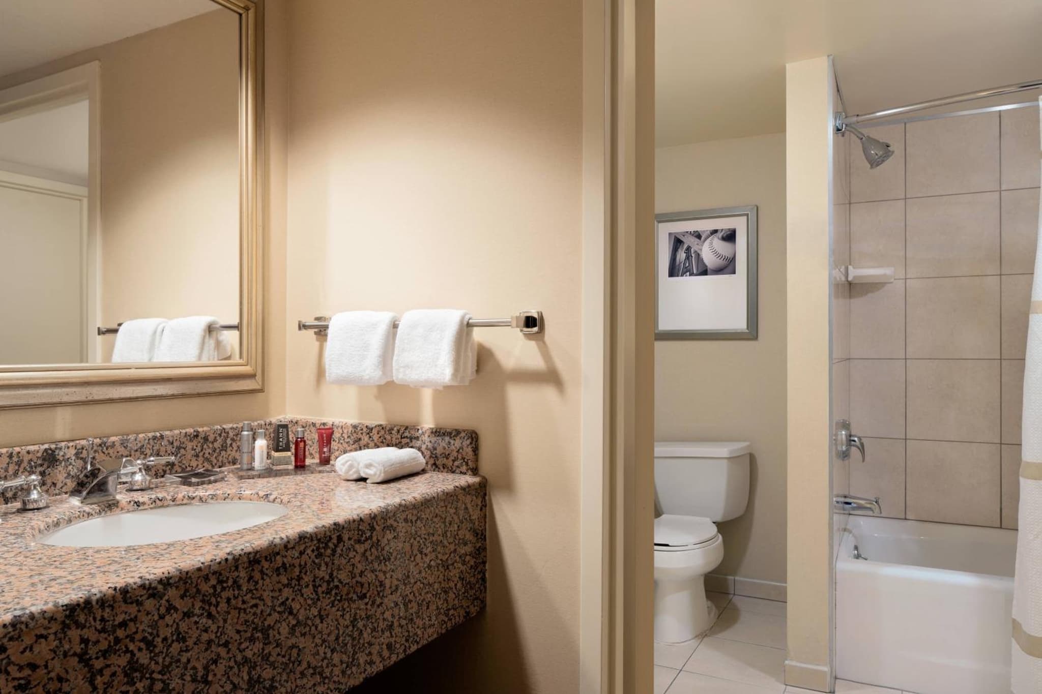 Anaheim Marriott Suites photo 6