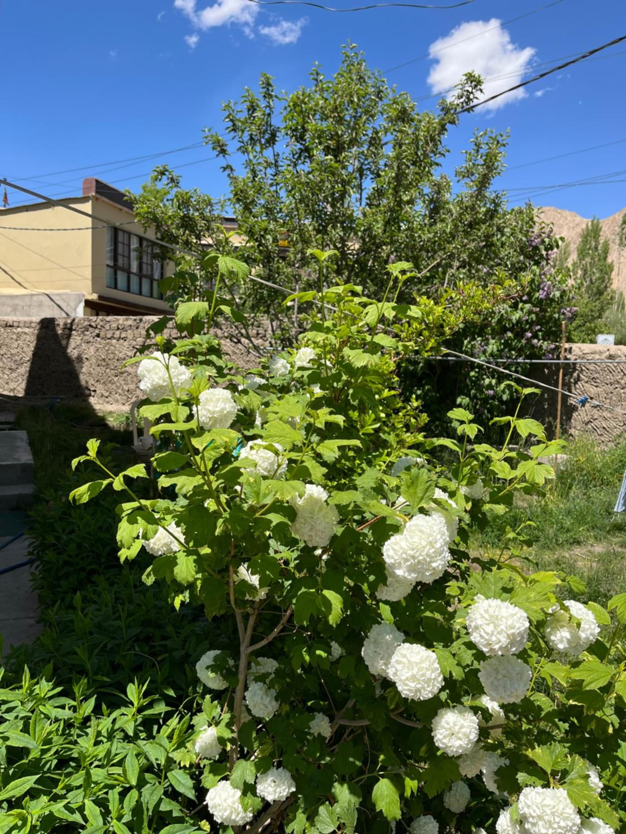 Chakzot garden house photo 5