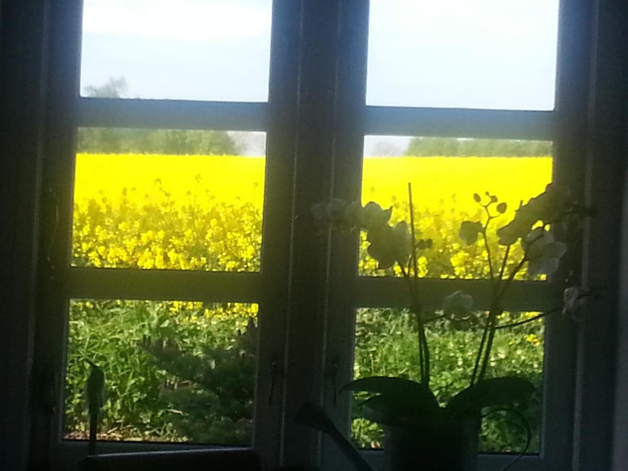 Jungshoved Kro B&B photo 9