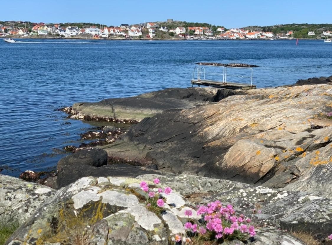 Hamnhuset Björkö photo 7