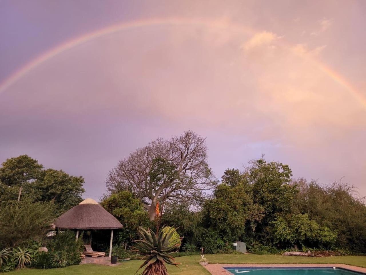 Silos Guesthouse - Travel Addo Group photo 5