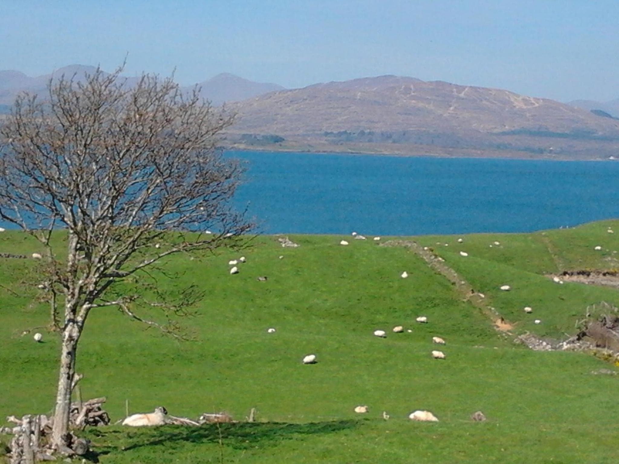 Betty's Cottage photo 6