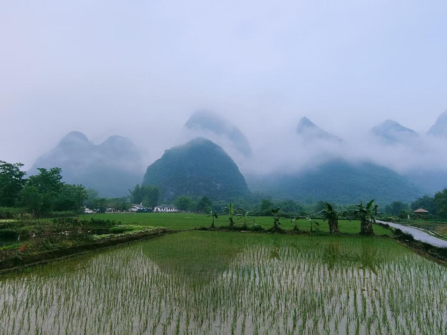 Yangshuo Eden's Social Guesthouse - cozy garden coffee & & night beers & near to yulongriver&Bespoke tour service photo 6