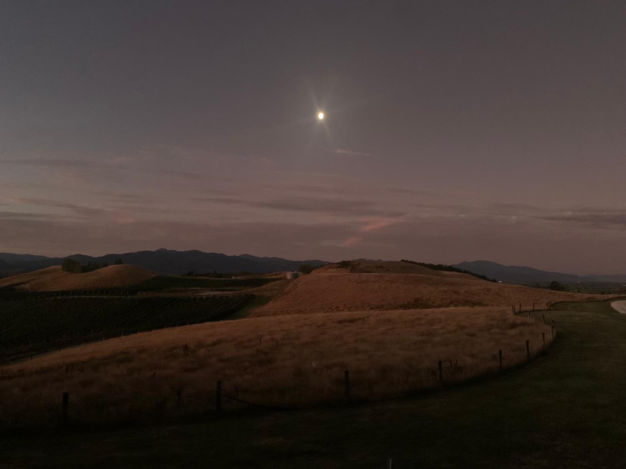 Brancott Ridge photo 9