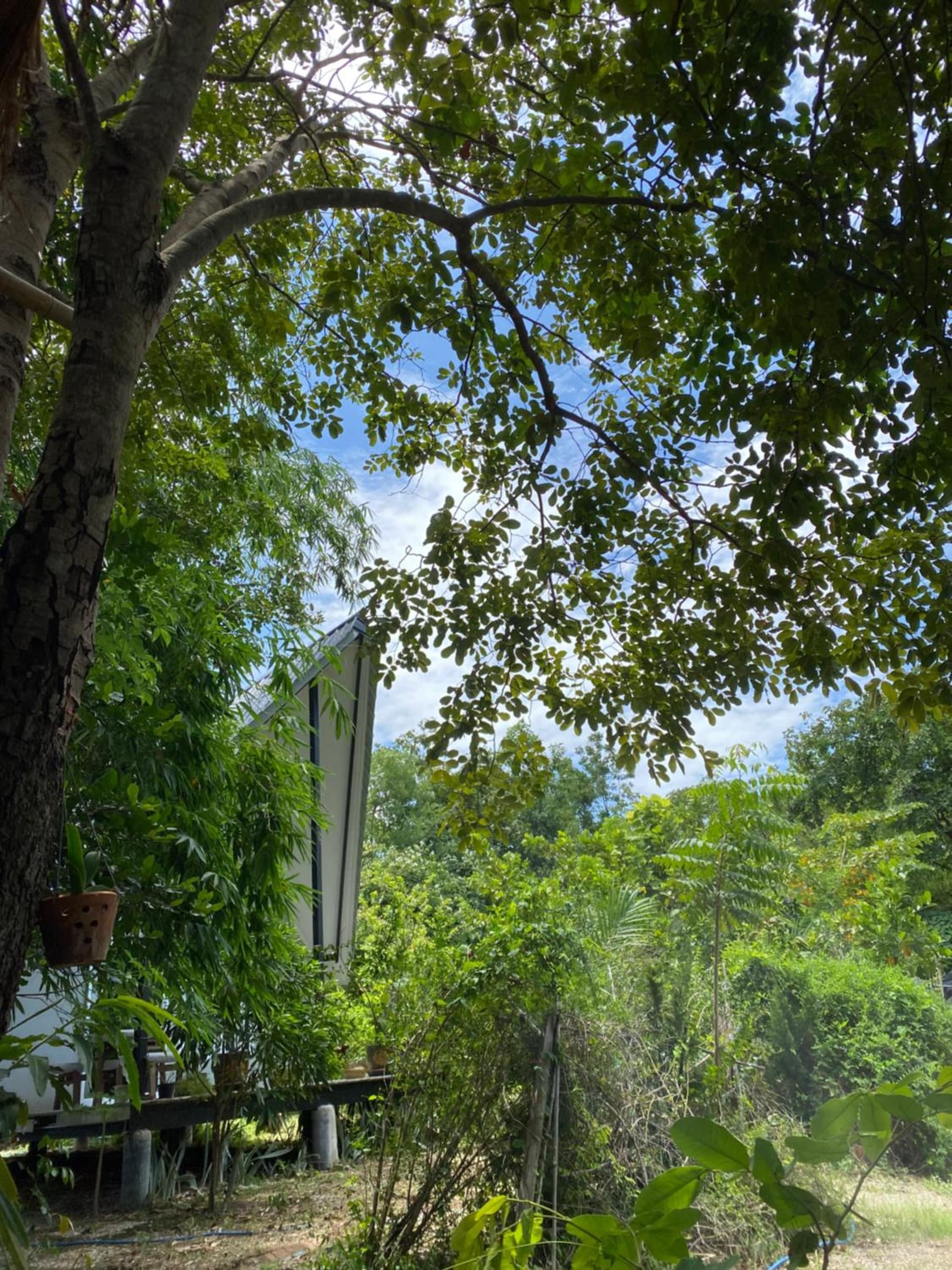 Royal mountain view Ratchaburi photo 8
