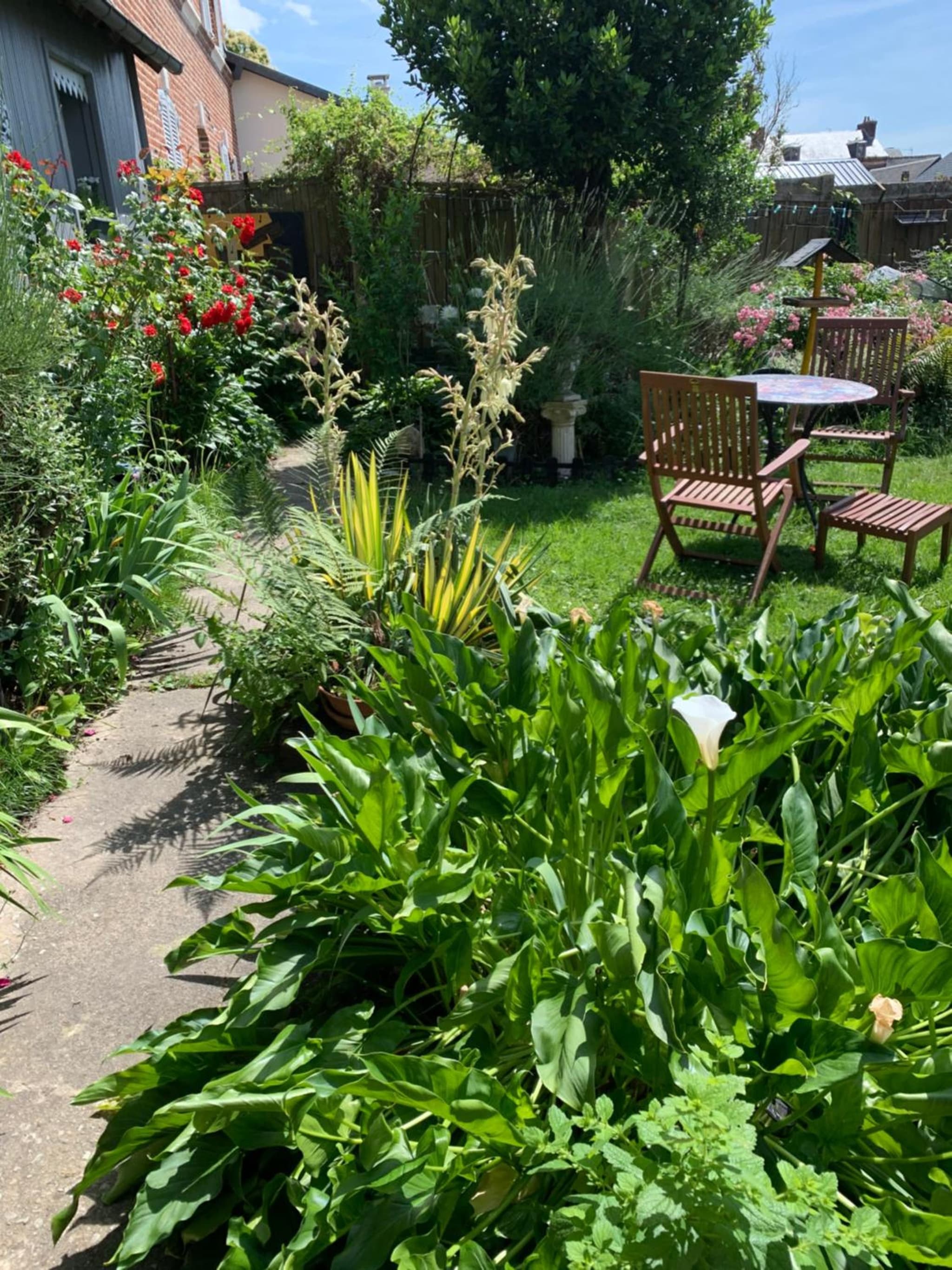 Dom’s Garden photo 8