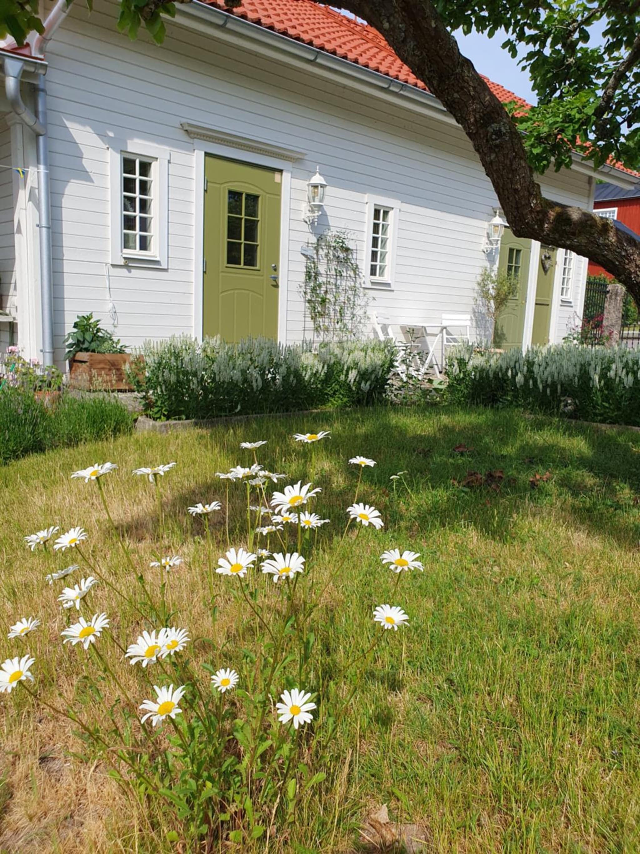 Stenkullens gårdshus