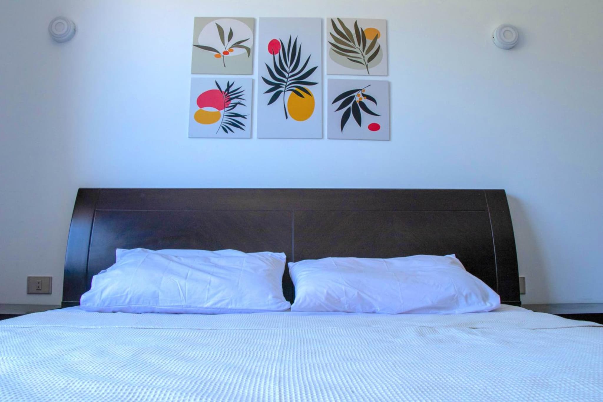 Safty Palm Oasis Private Pool & Beach Access photo 5