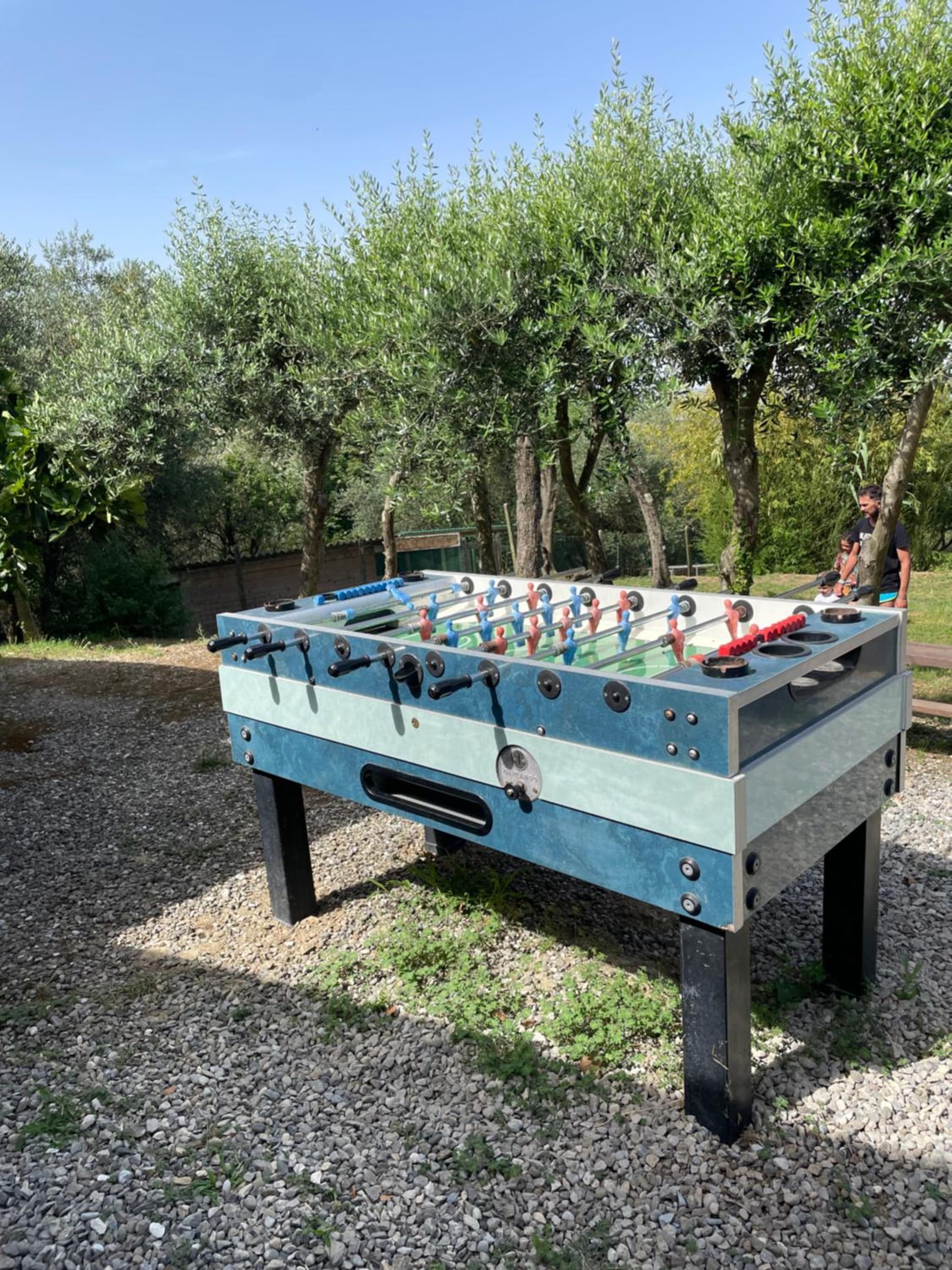 B&B Alloro photo 7