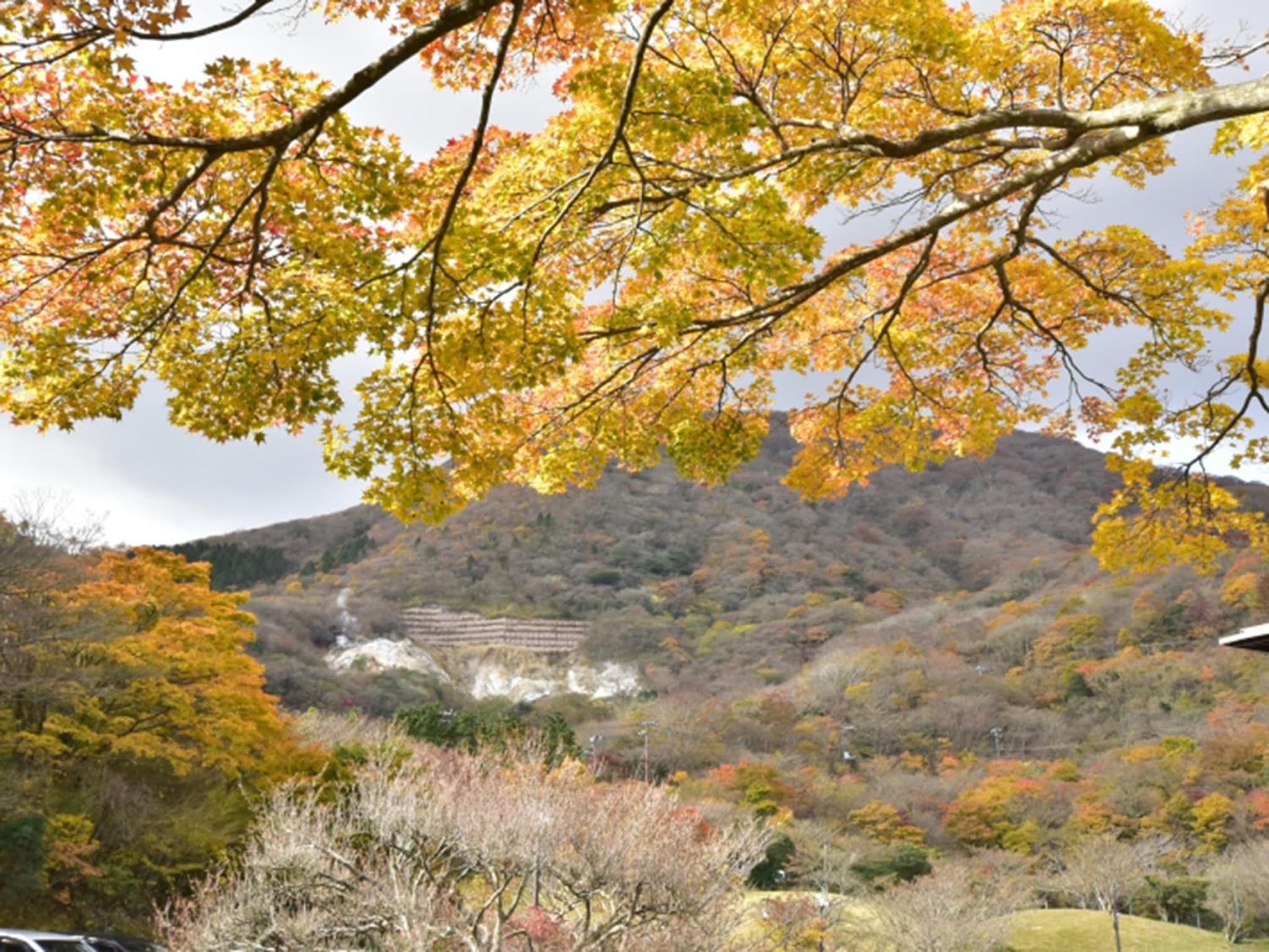 Hakone Yunohana Prince Hotel photo 2
