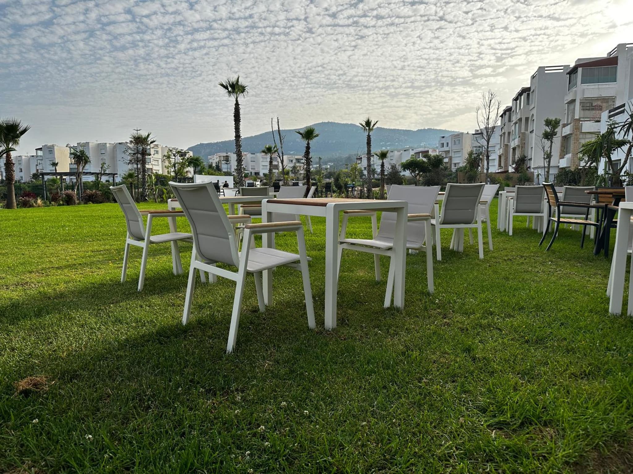 PLAYA DEL PACHA Suites Hotel photo 3