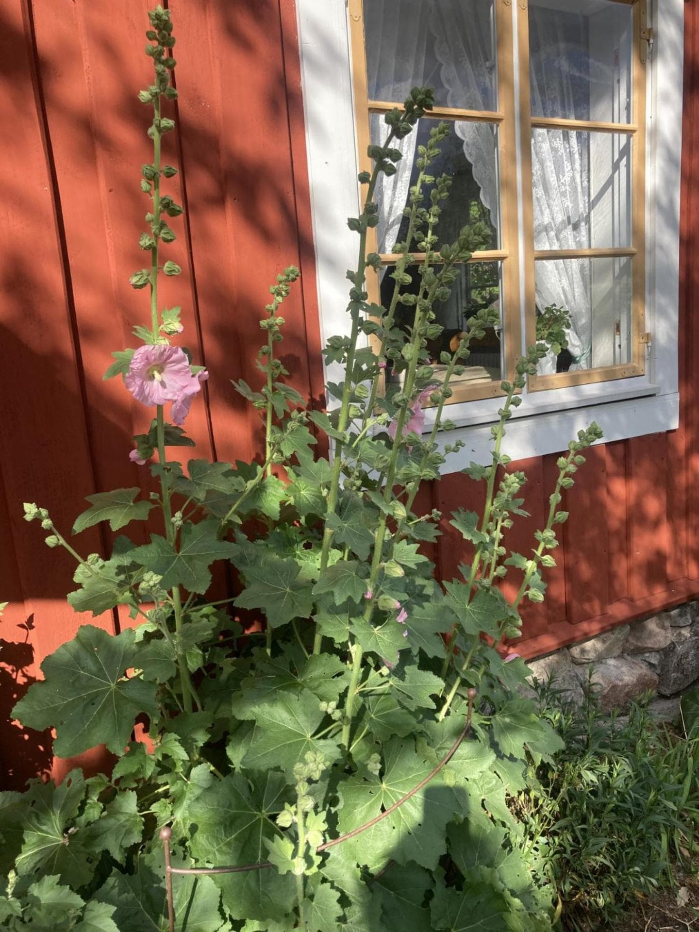 Thorstorps Gård B&B photo 7