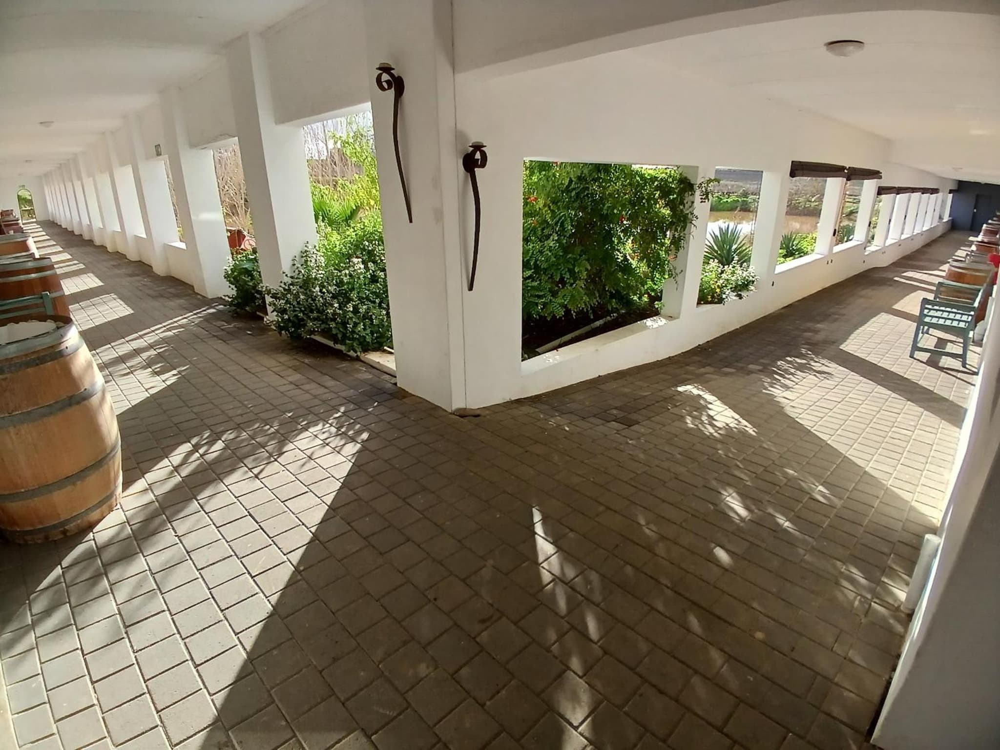 Middelplaas Paarl Guesthouse photo 9